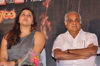 Yamuna Movie Audio Launch Gallery